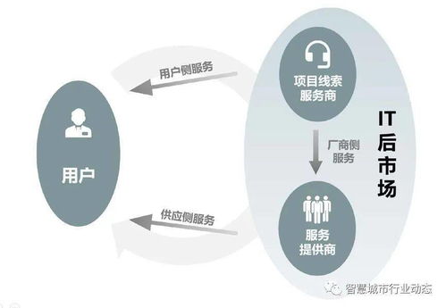 it行业发展路径怎么写，创新、转型与超越