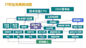 潮：职业发展前景与两大自媒体平台的机遇