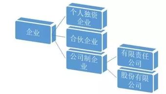 托管公司起什么名字好听