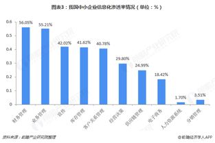 企业信息化现状及发展趋势研究