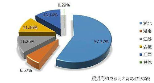 it行业的发展前景分析