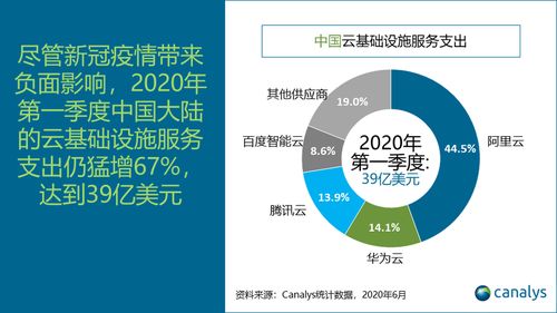 我国云服务供应商中占市场份额最大的是哪个行业