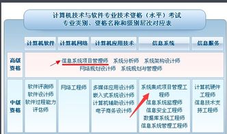 信息系统集成项目管理 高级