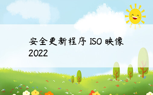安全更新程序 ISO 映像 2022