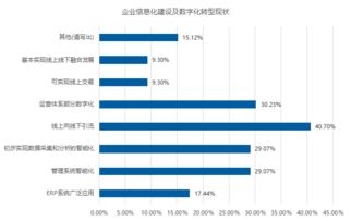 企业信息化建设：构建数字化竞争力的关键策略