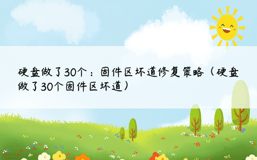 硬盘做了30个：固件区坏道修复策略（硬盘做了30个固件区坏道） 