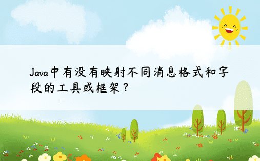 Java中有没有映射不同消息格式和字段的工具或框架？ 