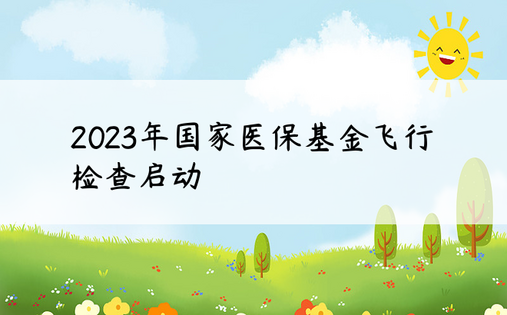 2023年国家医保基金飞行检查启动