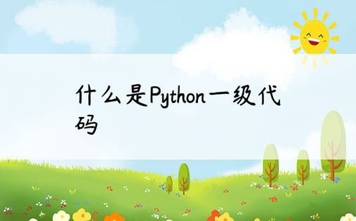 什么是Python一级代码
