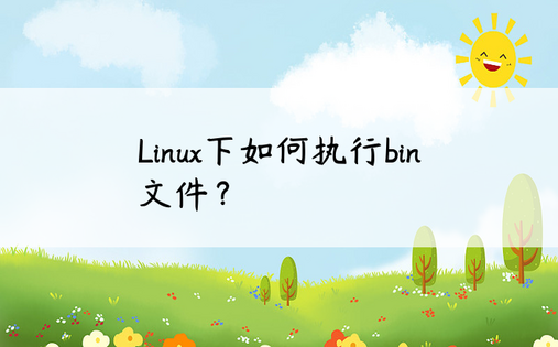 Linux下如何执行bin文件？ 