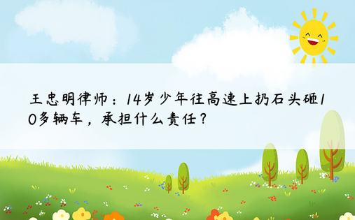 王忠明律师：14岁少年往高速上扔石头砸10多辆车，承担什么责任？