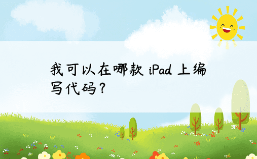 我可以在哪款 iPad 上编写代码？ 