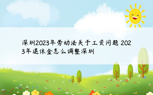 深圳2023年劳动法关于工资问题 2023年退休金怎么调整深圳