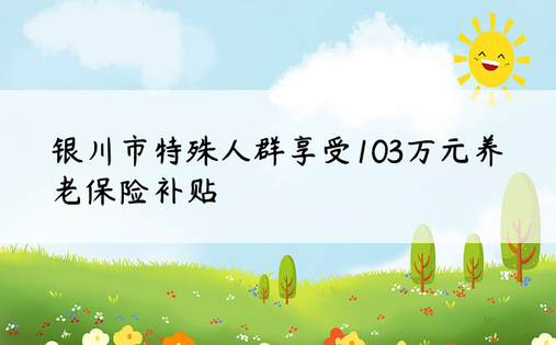 银川市特殊人群享受103万元养老保险补贴