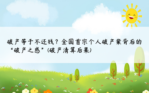 破产等于不还钱？全国首宗个人破产案背后的“破产之惑”(破产清算后果)