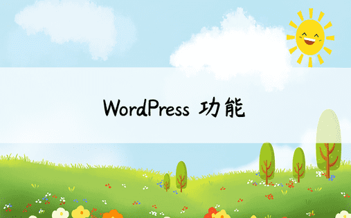 WordPress 功能