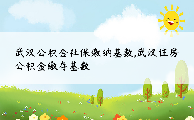 武汉公积金社保缴纳基数,武汉住房公积金缴存基数