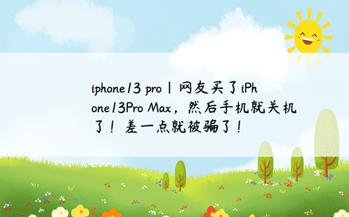 iphone13 pro|网友买了iPhone13Pro Max，然后手机就关机了！差一点就被骗了！ 