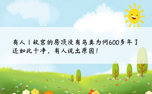 有人|故宫的房顶没有鸟粪为何600多年了还如此干净，有人说出原因！