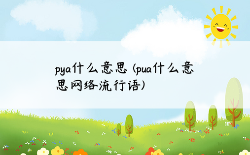 pya什么意思 (pua什么意思网络流行语)